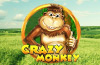 Crazy Monkey